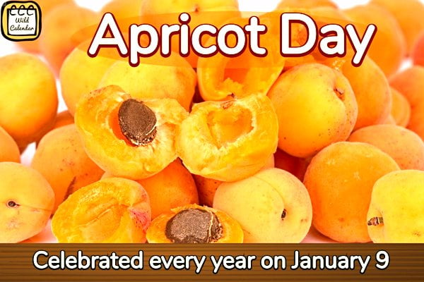 Apricot Day