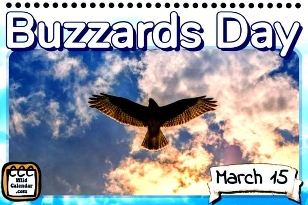 Buzzards Day
