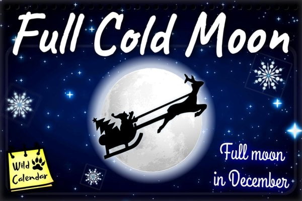 Full Cold Moon