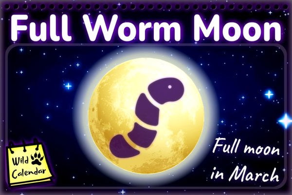 Full Worm Moon
