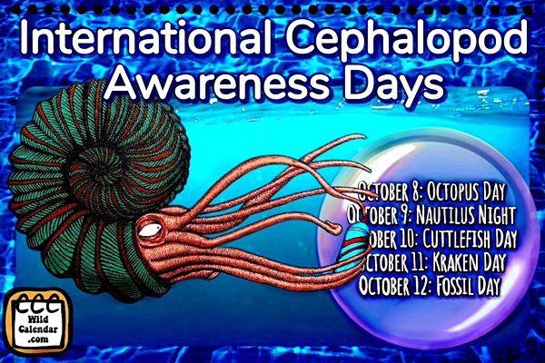 International Cephalopod Awareness Days