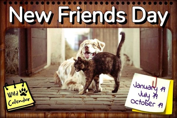 New Friends Day