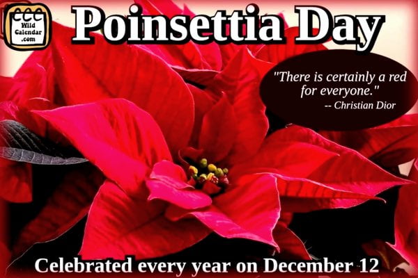Poinsettia Day