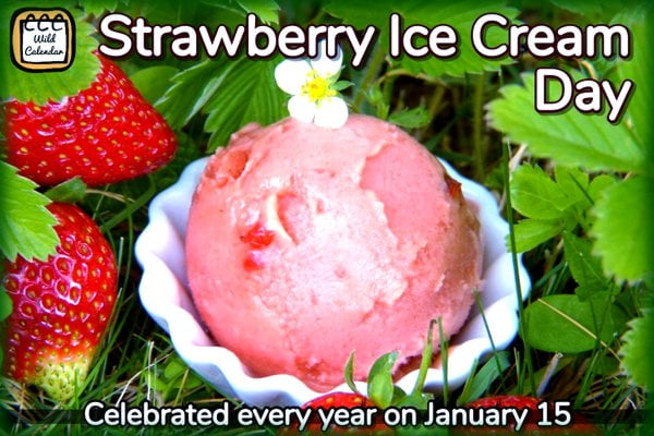 Strawberry Ice Cream Day