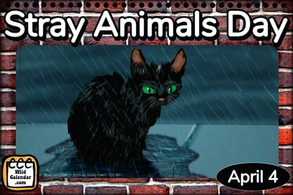 Stray Animals Day