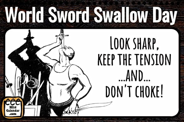 World Sword Swallow Day (post)