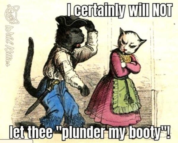 Meow Like a Pirate - Pawful Pickup Lines